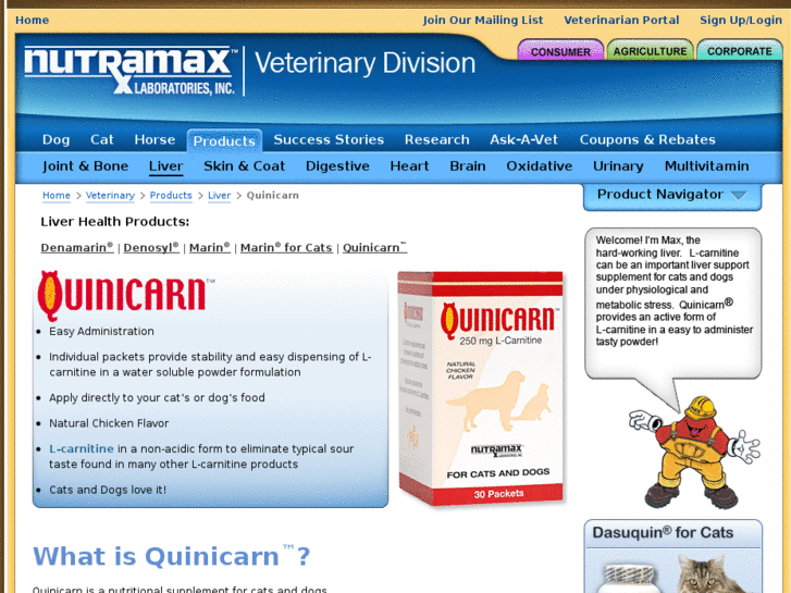 www.quinicarn.com