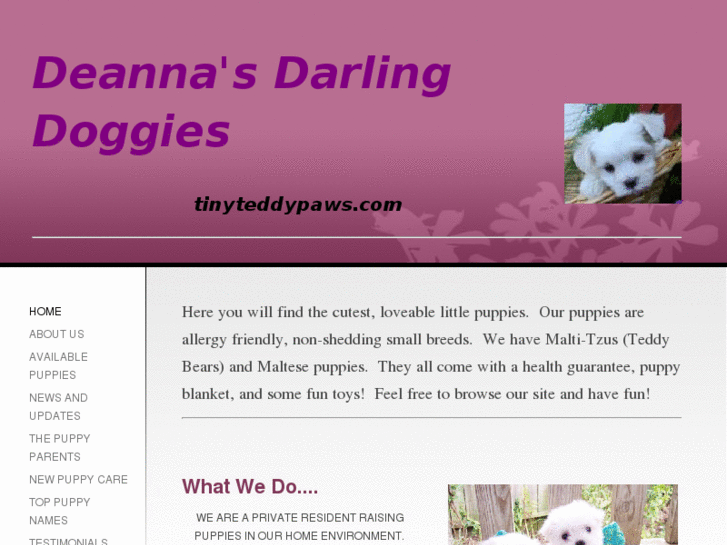 www.tinyteddypaws.com