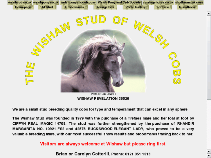 www.wishawstud.com