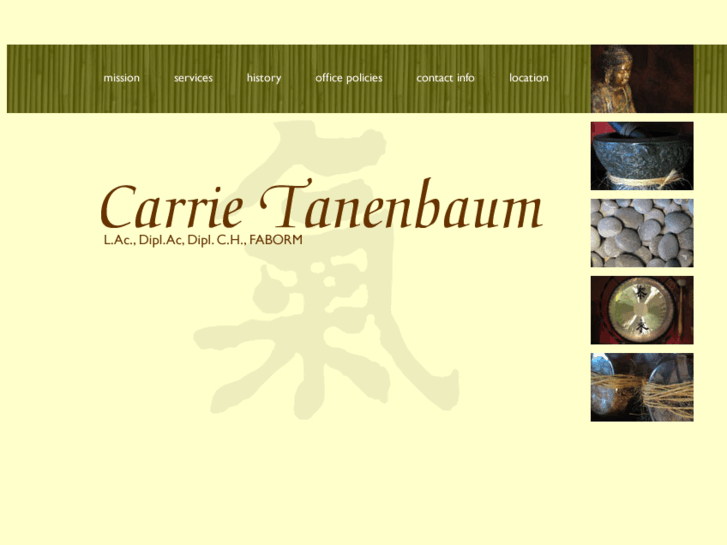 www.carrietanenbaum.com