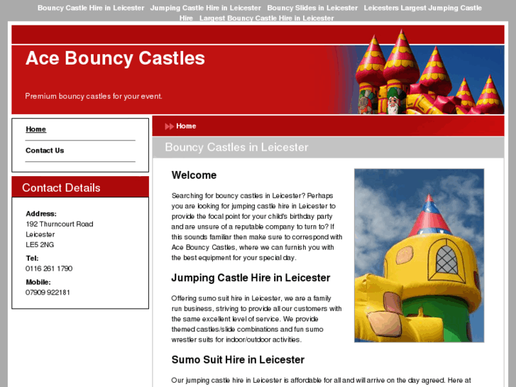 www.acebouncycastle.net