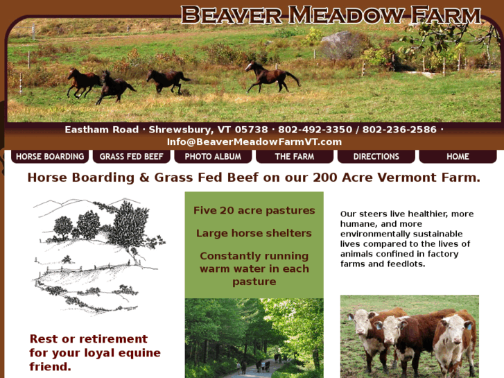 www.beavermeadowfarmvt.com