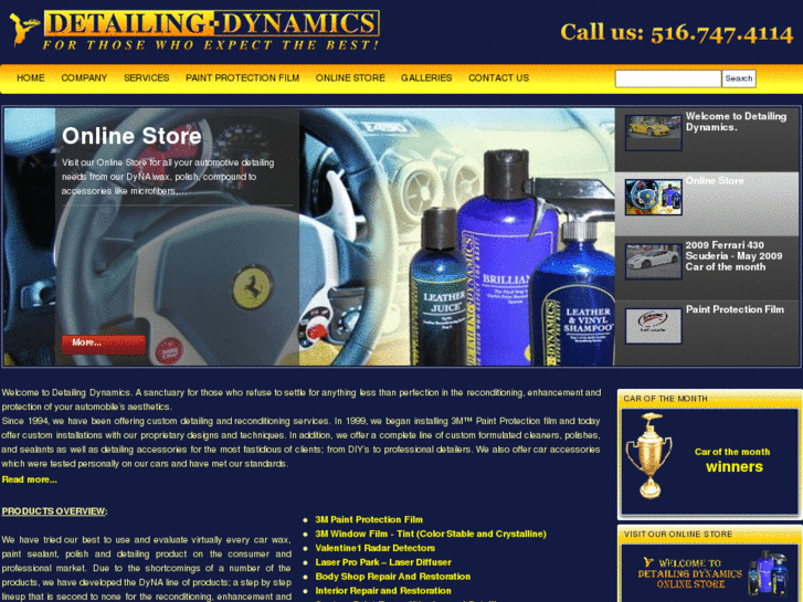 www.detailingdynamics.com