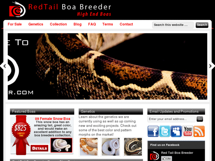 www.redtailboabreeder.com