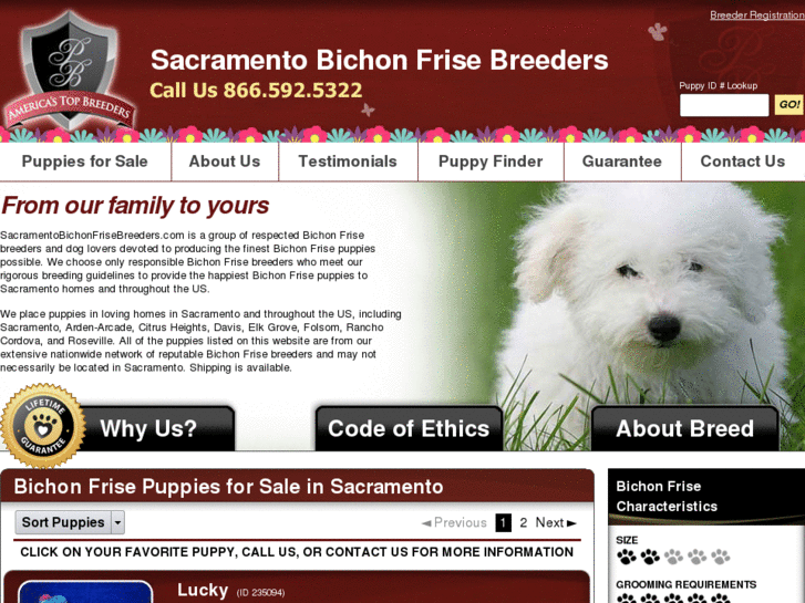 www.sacramentobichonfrisebreeders.com