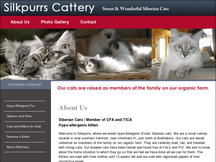 www.silkpurrscattery.com