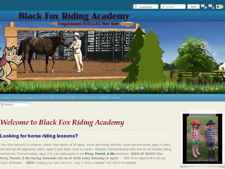 www.blackfoxridingacademy.com