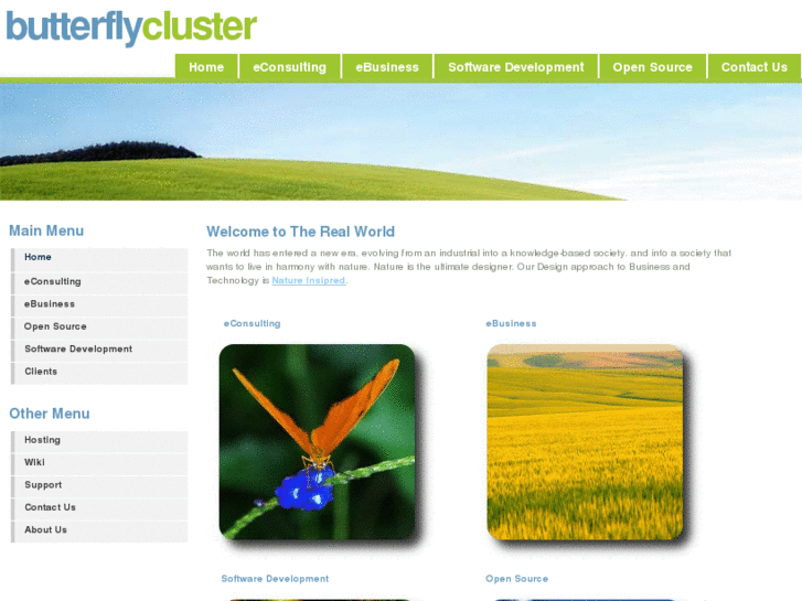 www.butterflycluster.com