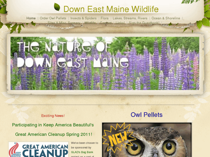 www.downeastwildlife.com