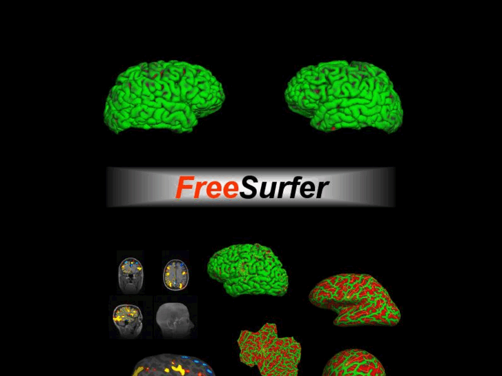 www.freesurfersoftware.org