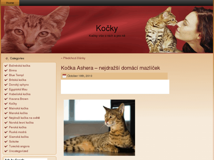 www.kockykocky.cz