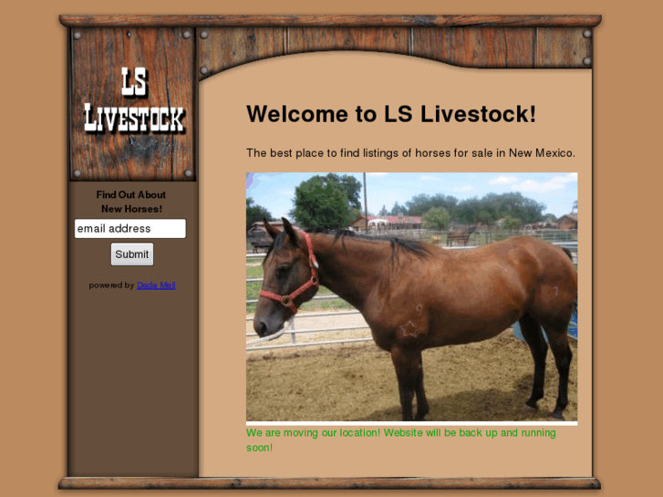 www.lslivestock.com