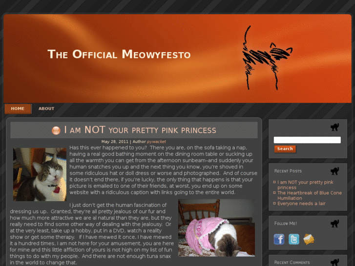 www.meowyfesto.info