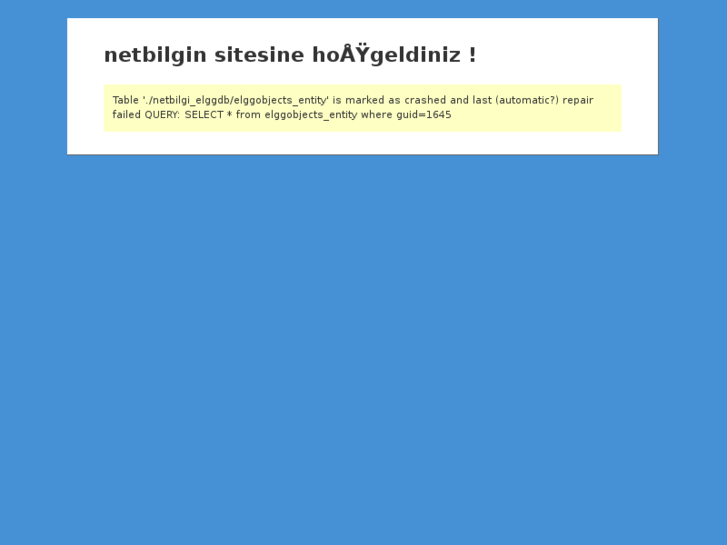 www.netbilgin.net