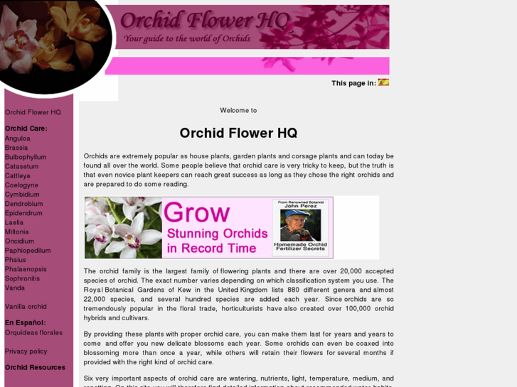 www.orchidflowerhq.com