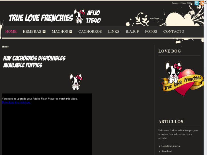 www.truelovefrenchies.com