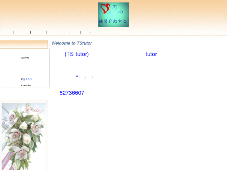 www.tstutor.org