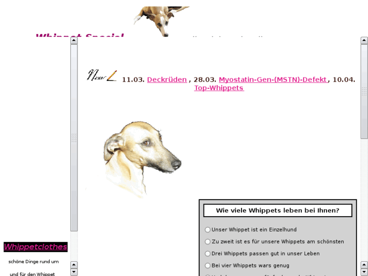 www.whippet-special.de