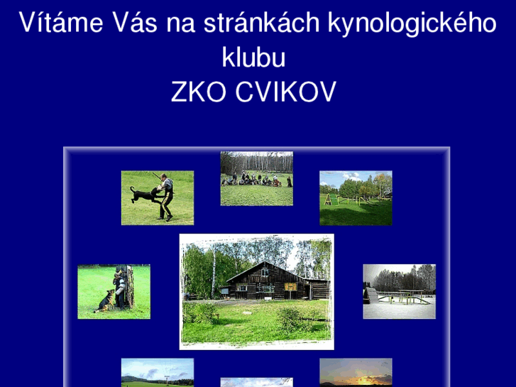 www.cvikov.com