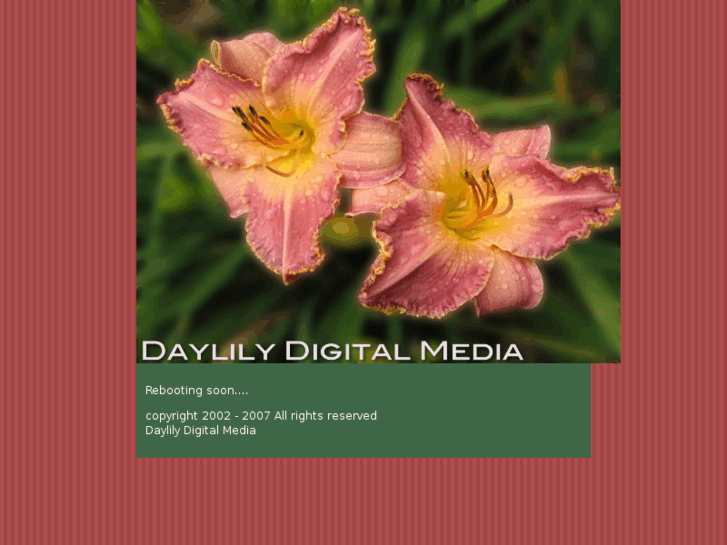 www.daylilydigitalmedia.com