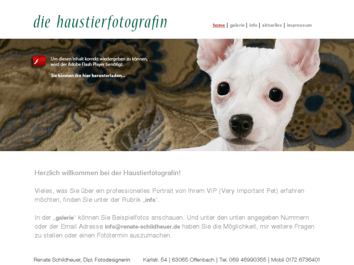 www.die-haustier-fotografin.com