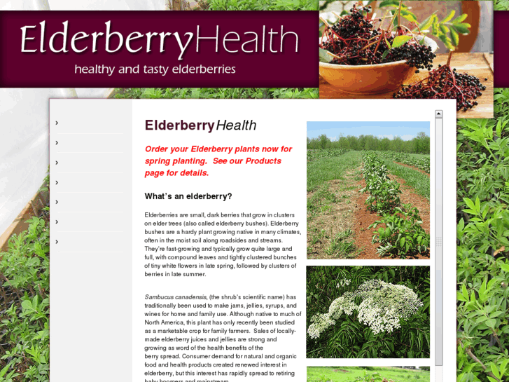 www.elderberryhealth.com