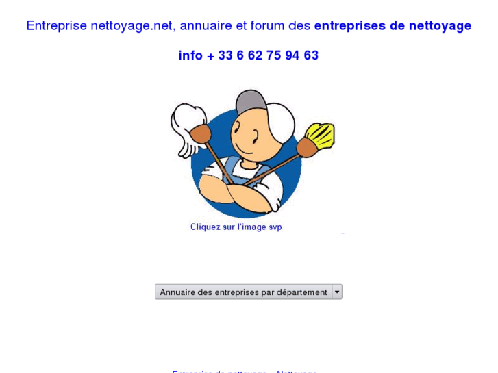 www.entreprisenettoyage.net