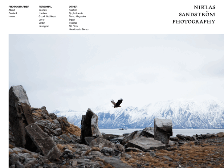 www.niklassandstrom.com