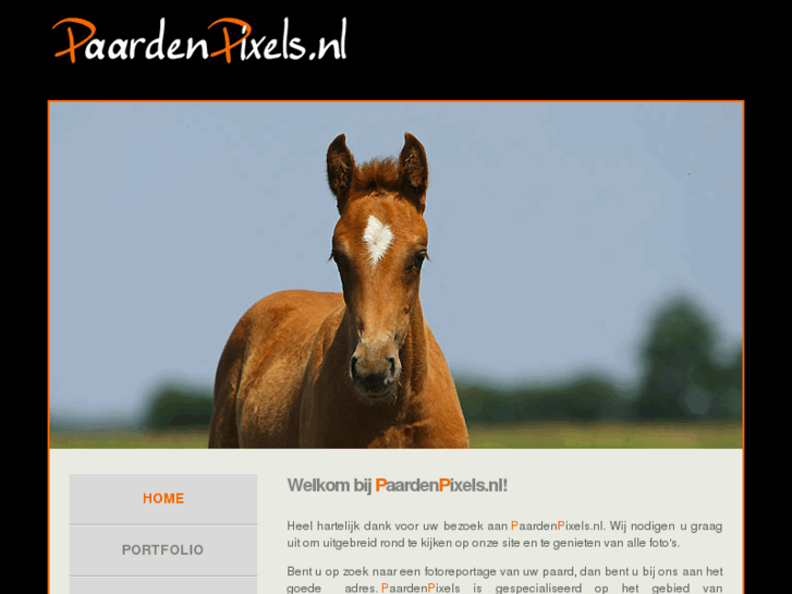 www.paardenpixels.com