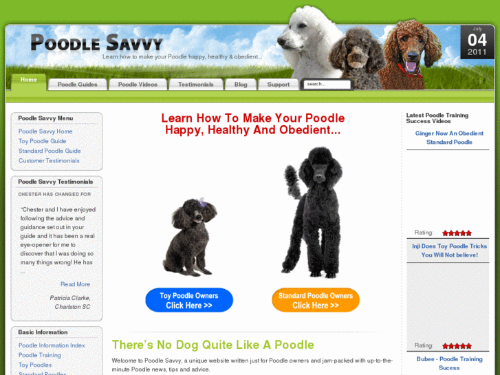 www.poodlesavvy.com