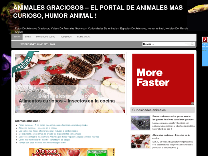 www.animalesgraciosos.info