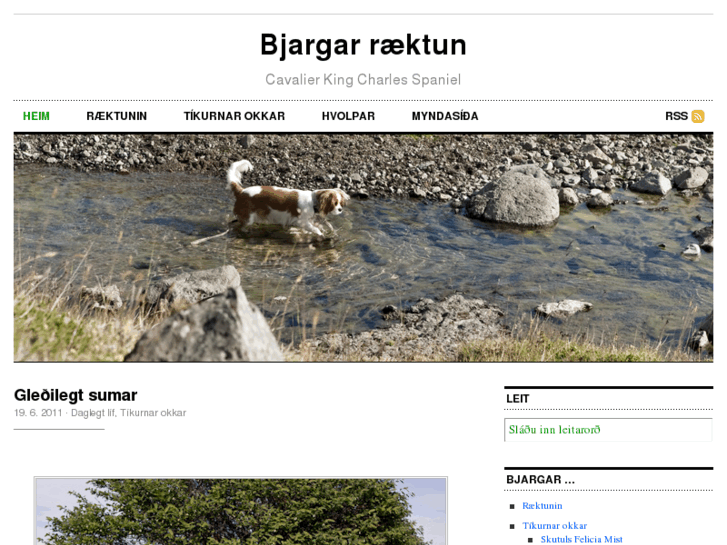 www.bjargar.net