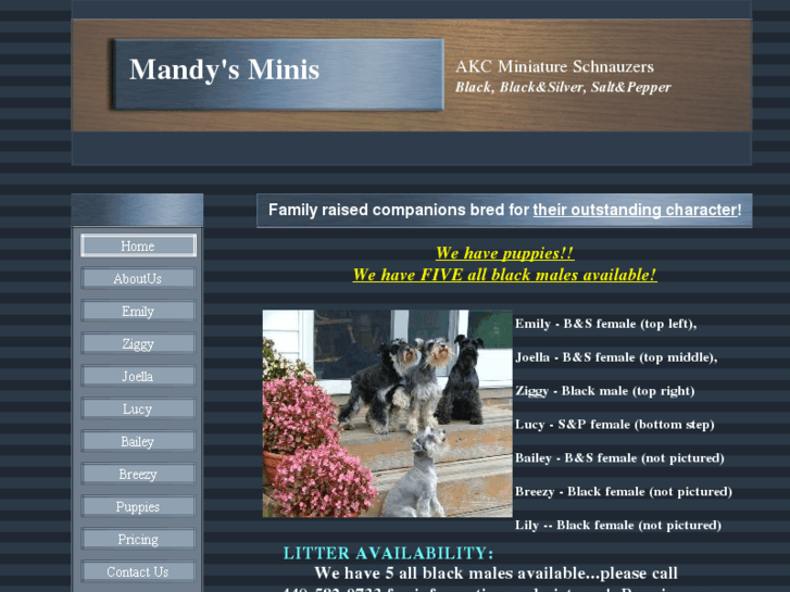 www.mandysminis.com