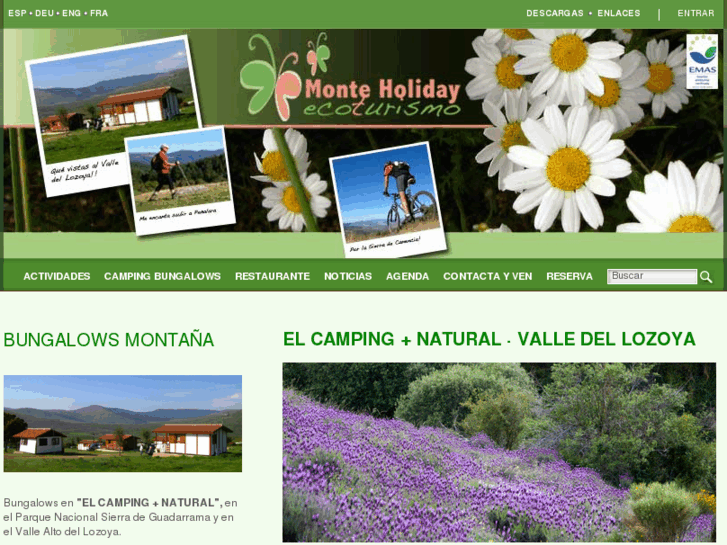 www.monteholiday.com