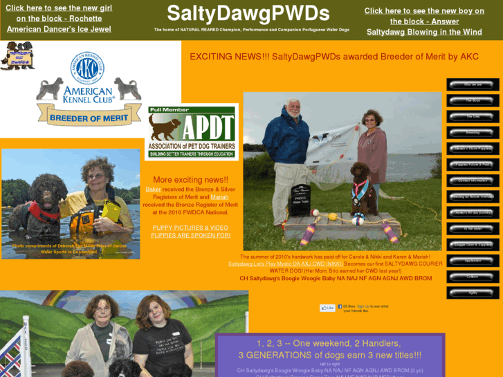 www.saltydawgpwds.com