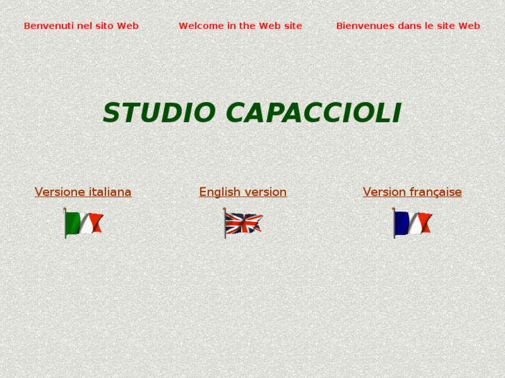 www.studiolegalecapaccioli.com