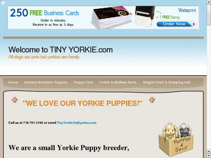 www.tinyyorkie.com