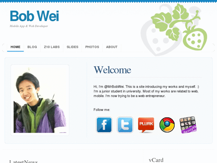 www.bobwei.net