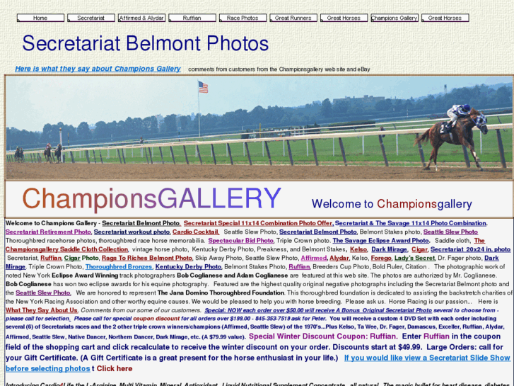 www.championsgallery.com