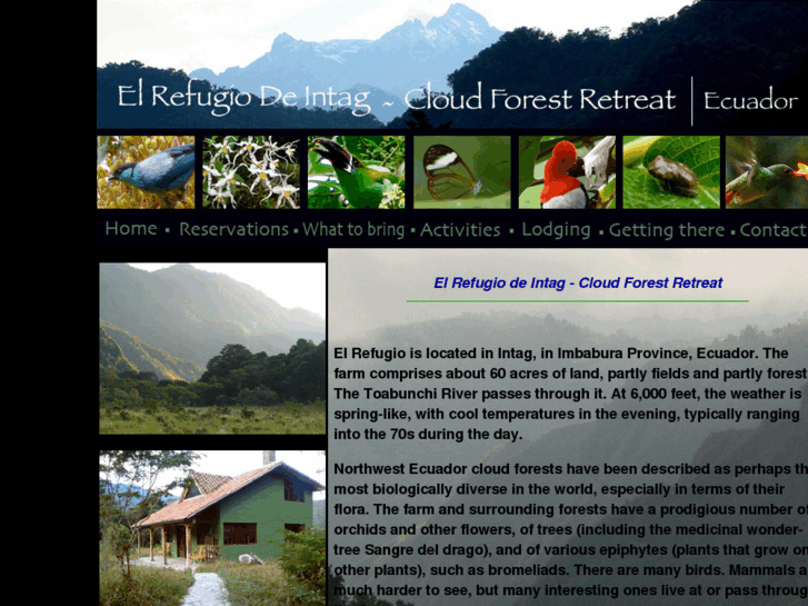 www.elrefugiocloudforest.com