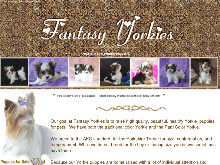 www.fantasyyorkies.com