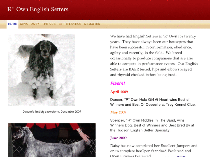 www.rownenglishsetters.com