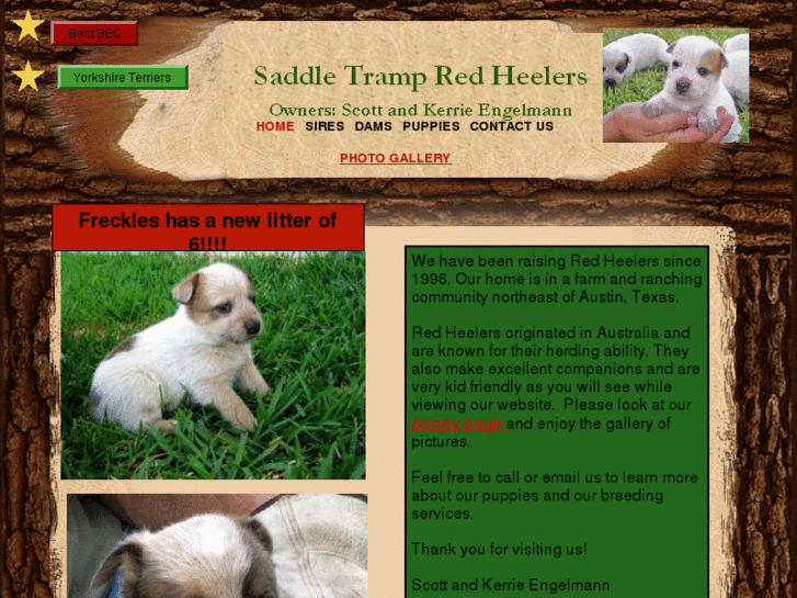 www.saddletrampredheelers.com