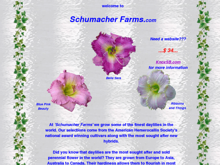 www.schumacherfarms.com