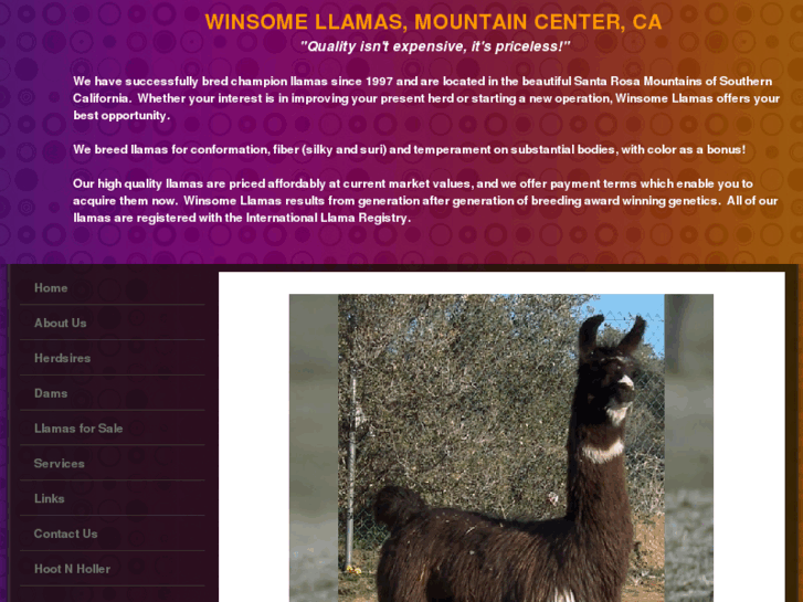 www.winsome-llamas.com