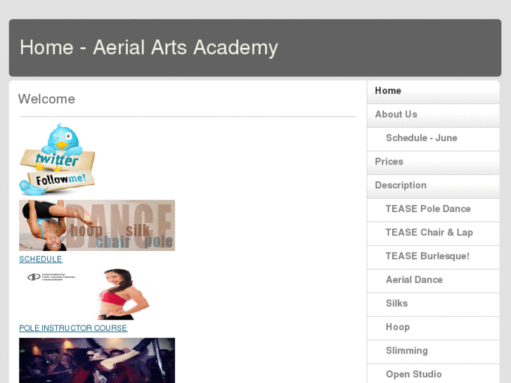 www.aerialartsacademy.com