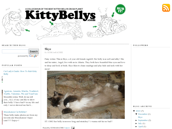 www.kittybellys.com