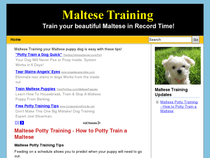 www.maltesetraining.com