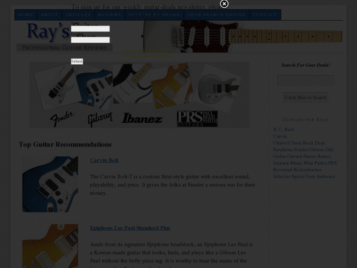 www.raysguitarshop.com