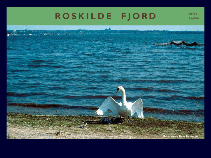 www.roskilde-fjord.dk
